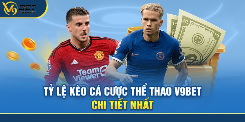 Cập nhật nóng về bóng dá hôm nay với nn88