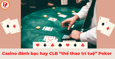 Trải nghiệm đỉnh cao với nn88 cùng đá gà trực tiếp từ casino thomo